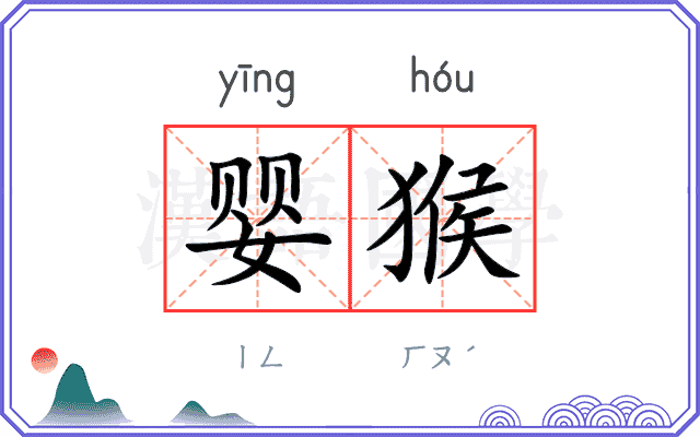 婴猴