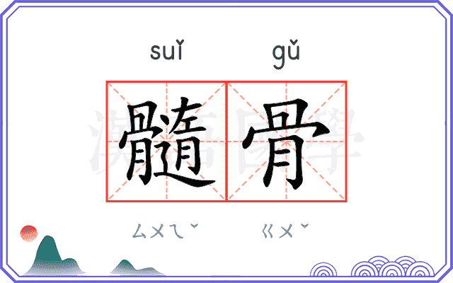 髓骨