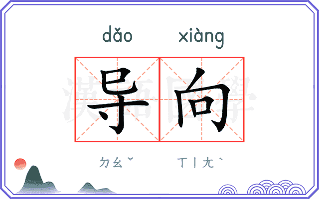 导向
