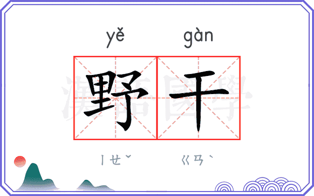 野干 野干