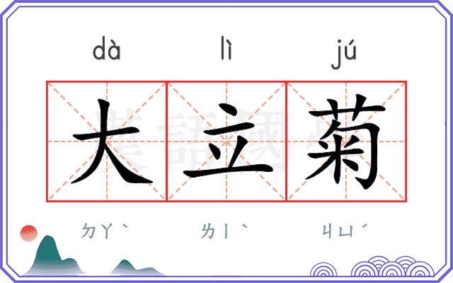 大立菊