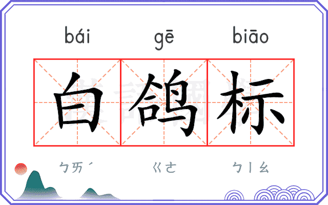 白鸽标 白鸽标