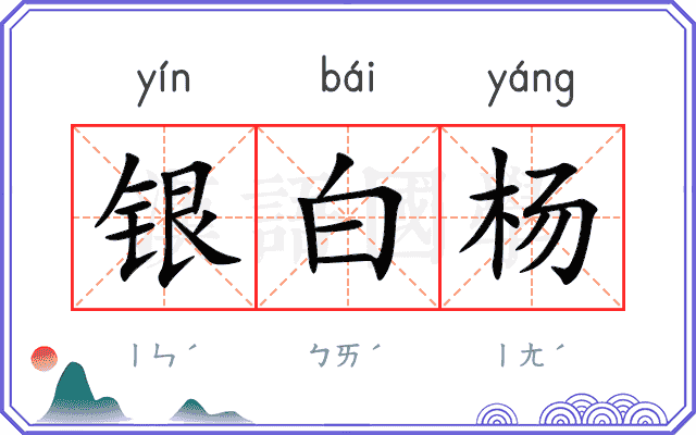 银白杨 银白杨