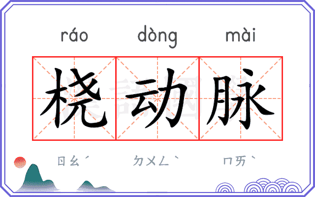 桡动脉