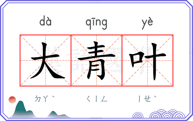 大青叶 大青叶