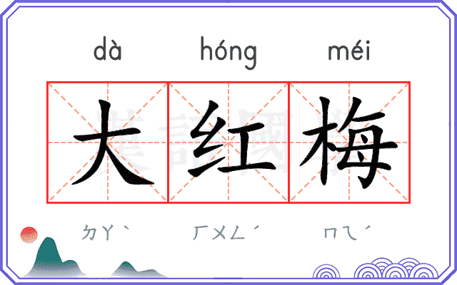 大红梅 大红梅