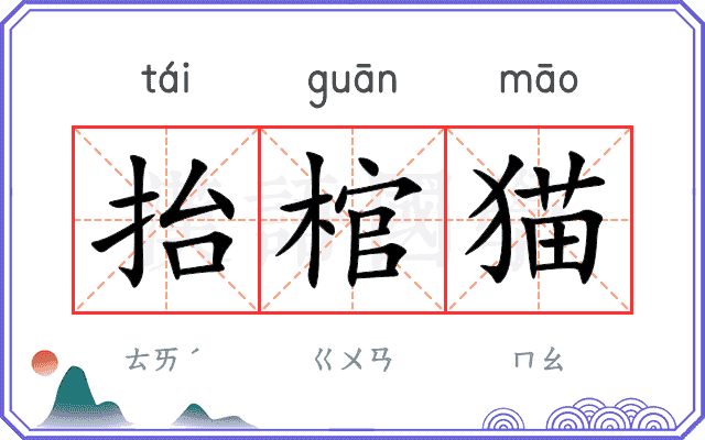 抬棺猫