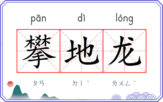 攀地龙