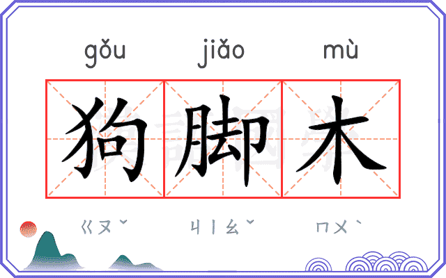 狗脚木 狗脚木