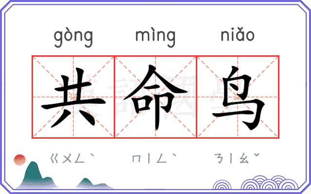 共命鸟 共命鸟