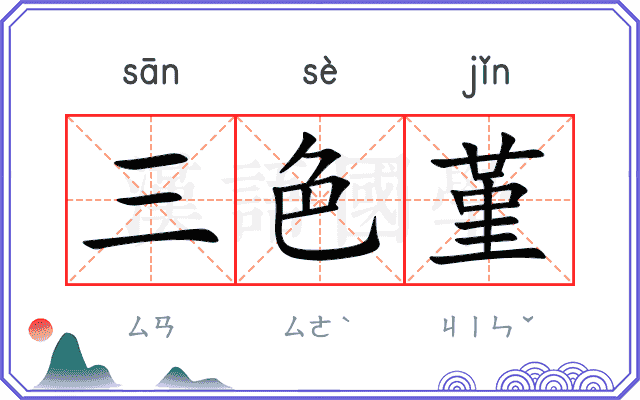 三色堇