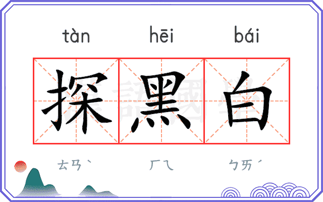 探黑白