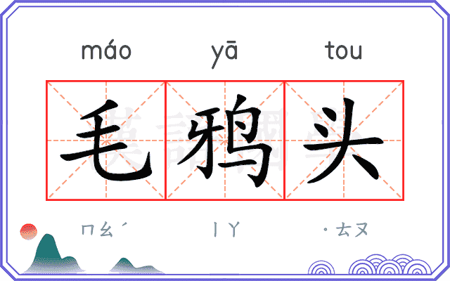 毛鸦头