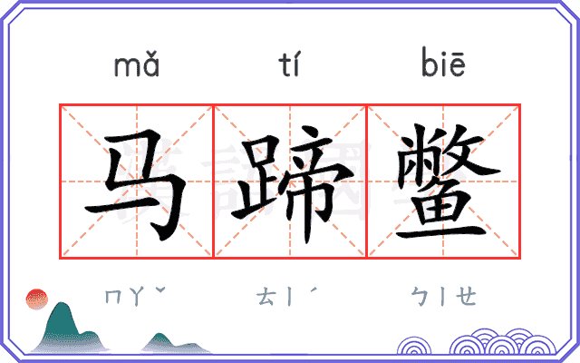 马蹄鳖