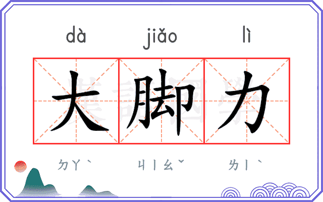 大脚力 大脚力