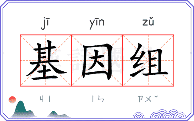 基因组