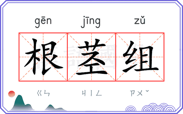 根茎组