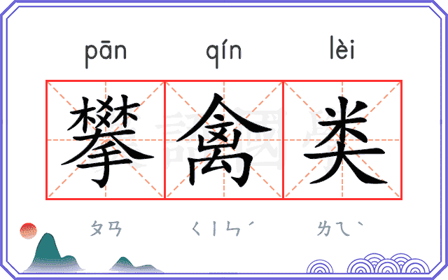 攀禽类