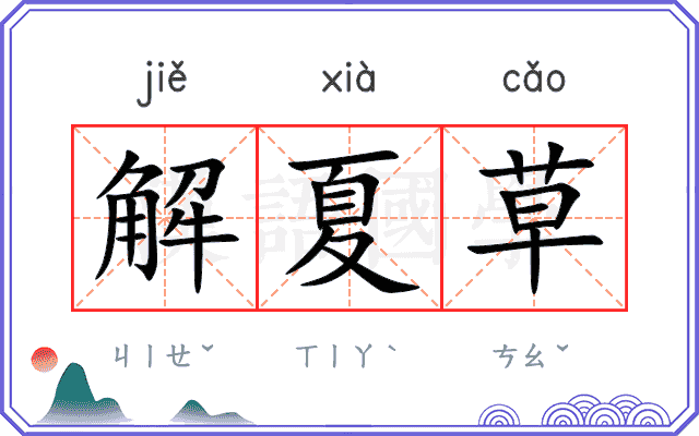 解夏草 解夏草