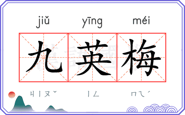 九英梅