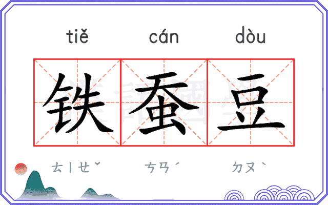 铁蚕豆