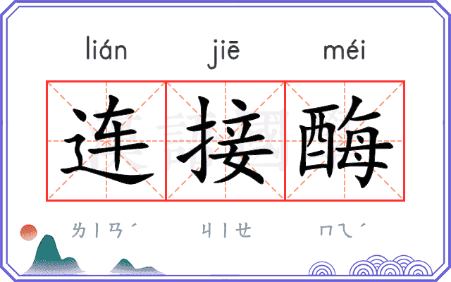 连接酶 连接酶