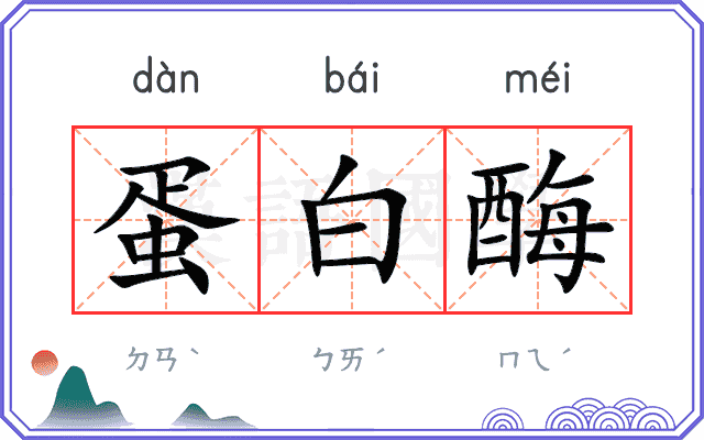 蛋白酶 蛋白酶