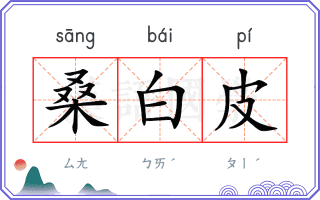 桑白皮