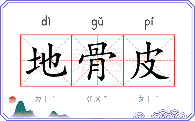 地骨皮