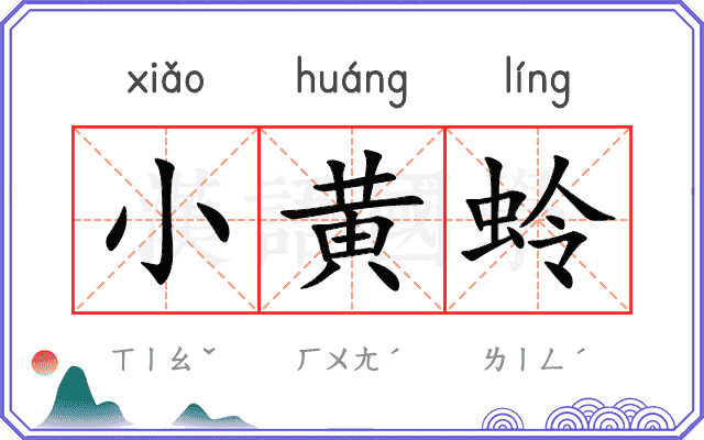 小黄蛉 小黄蛉