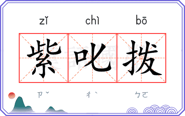 紫叱拨