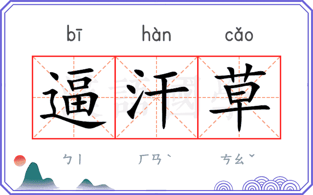 逼汗草