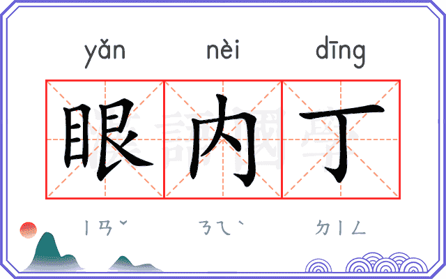 眼内丁 眼内丁