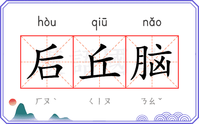 后丘脑