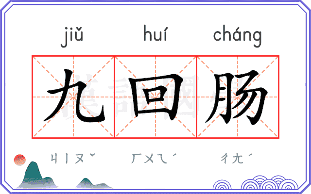 九回肠