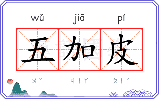 五加皮