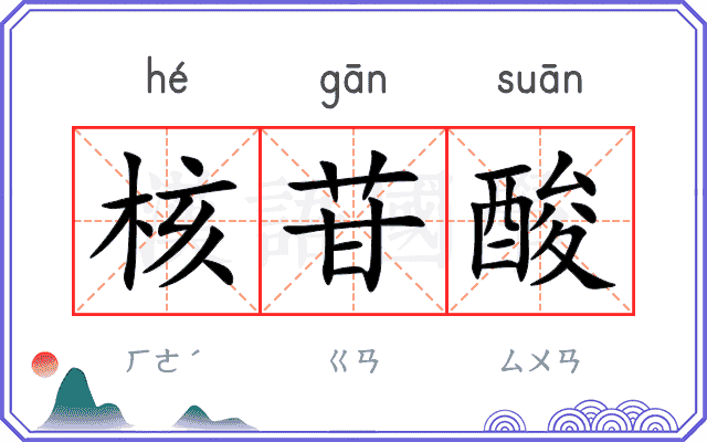 核苷酸