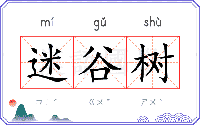 迷谷树