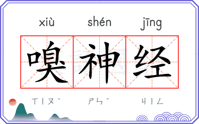 嗅神经