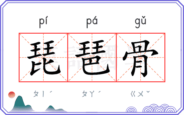 琵琶骨