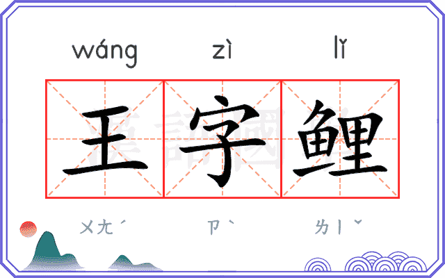 王字鲤