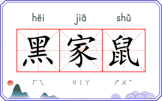 黑家鼠