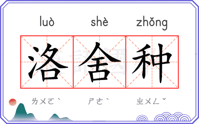 洛舍种