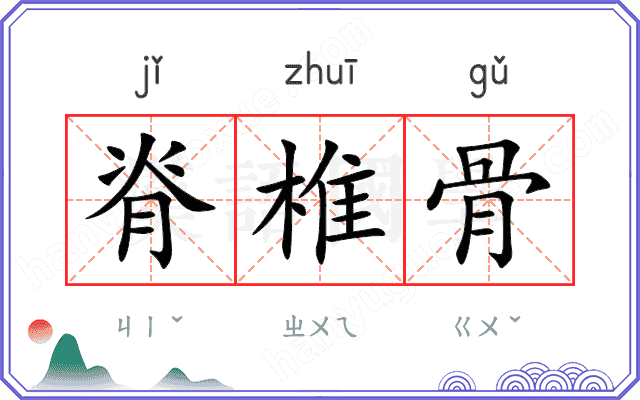 脊椎骨 脊椎骨