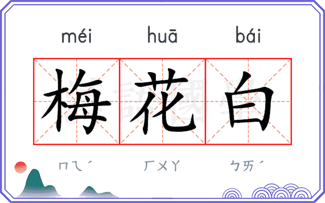 梅花白