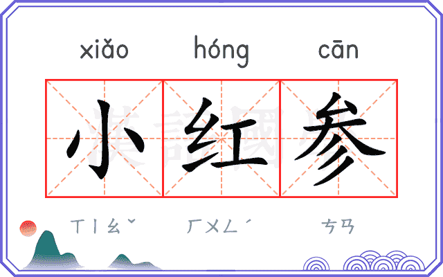 小红参