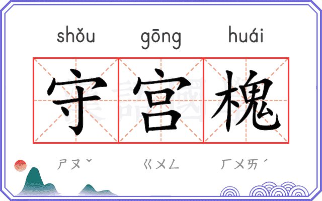守宫槐