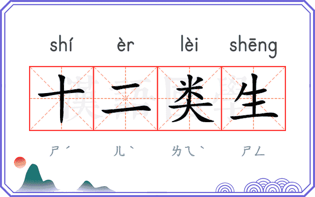 十二类生