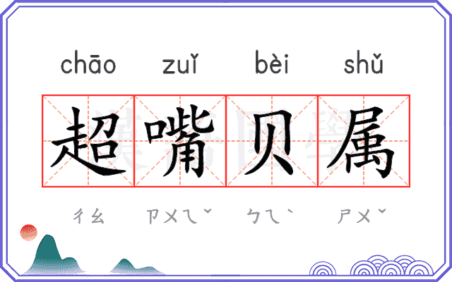 超嘴贝属 超嘴贝属