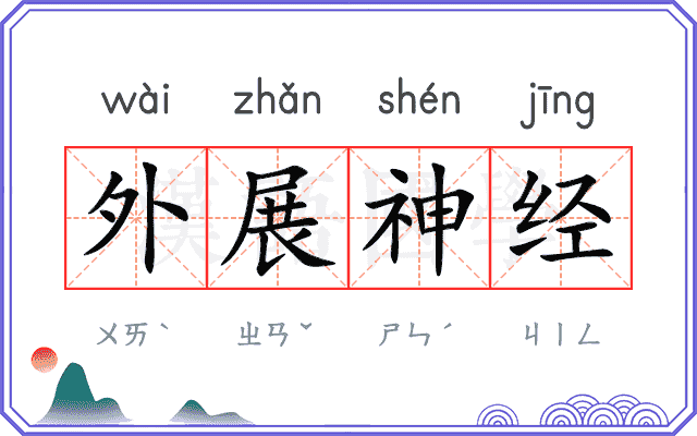 外展神经 外展神经